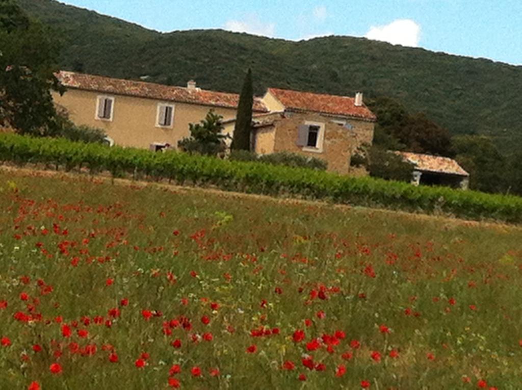 La Rivayne Lourmarin Quarto foto